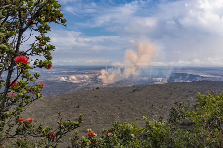 Kilauea: Escursione guidata al Parco Nazionale dei VulcaniKilauea: escursione guidata al Parco Nazionale dei Vulcani