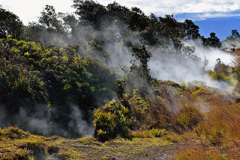 Kilauea: Escursione guidata al Parco Nazionale dei VulcaniKilauea: escursione guidata al Parco Nazionale dei Vulcani