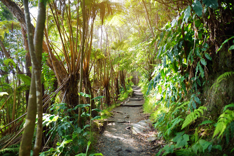 Kilauea: Volcanoes National Park Guided Hike