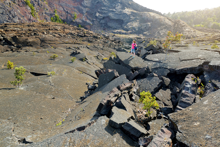 Kilauea: Escursione guidata al Parco Nazionale dei VulcaniKilauea: escursione guidata al Parco Nazionale dei Vulcani