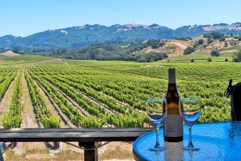 Desde el área de la bahía de San Francisco: Sonoma Valley Wine Tour