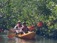 Spiaggia del cacao, Kayak guidato giorno Eco-Tour - Hizvo