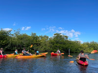 Spiaggia del cacao, Kayak guidato giorno Eco-Tour - Hizvo
