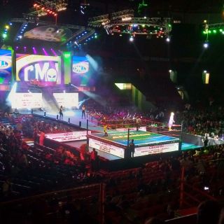 Mexico City: Wrestling Show and Double-Decker Bus Tour