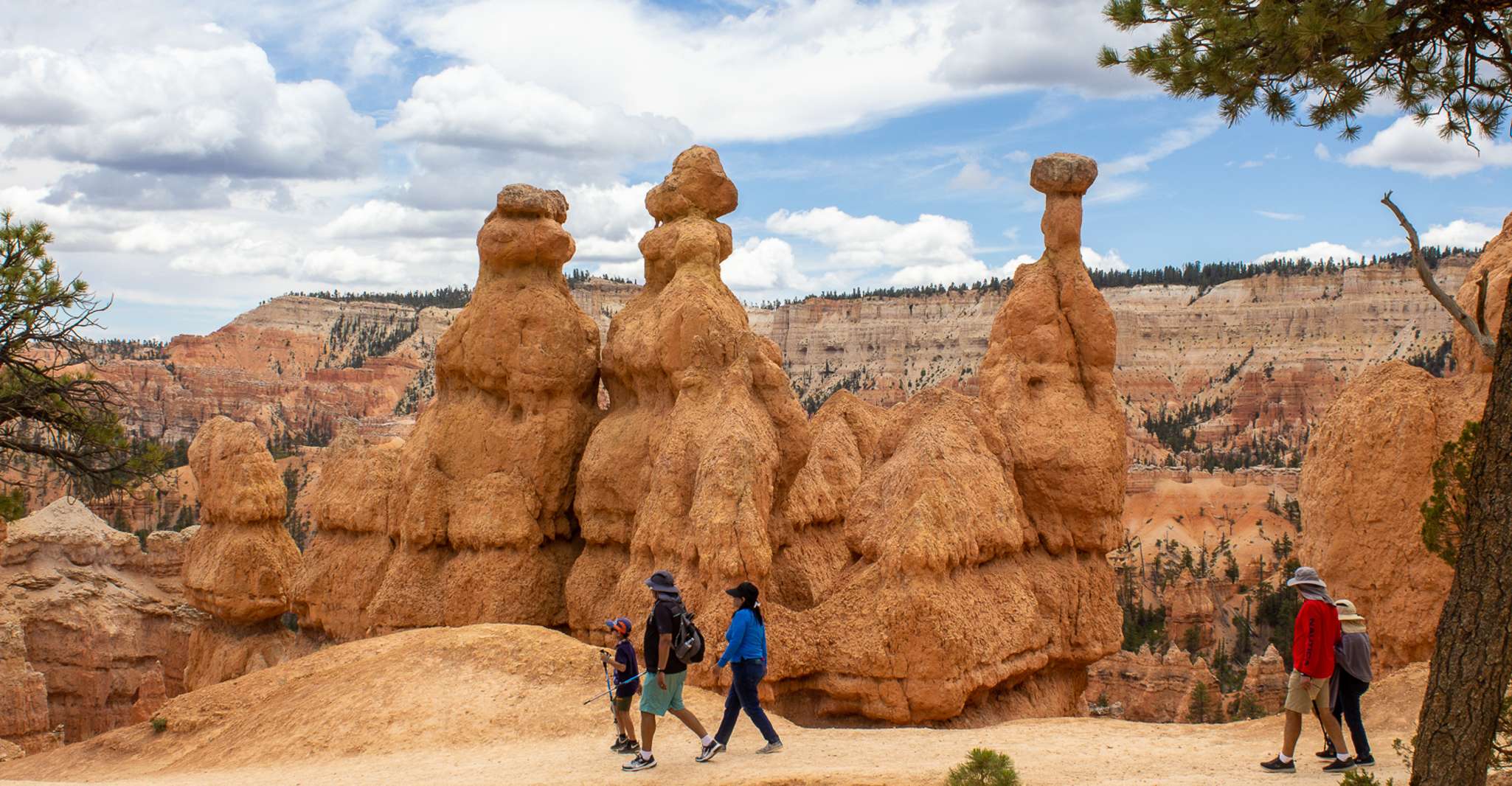 Da Salt Lake City, Tour privato del Bryce Canyon National Park - Hizvo
