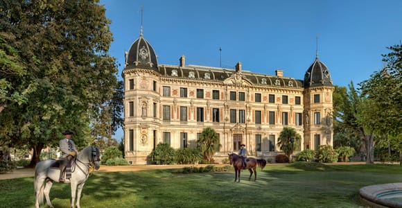 Jerez: Royal Andalusian School of Equestrian Art Admission