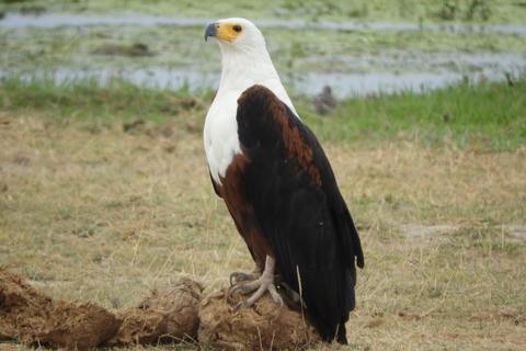 From Nairobi: Hells Gate National Park Day Tour