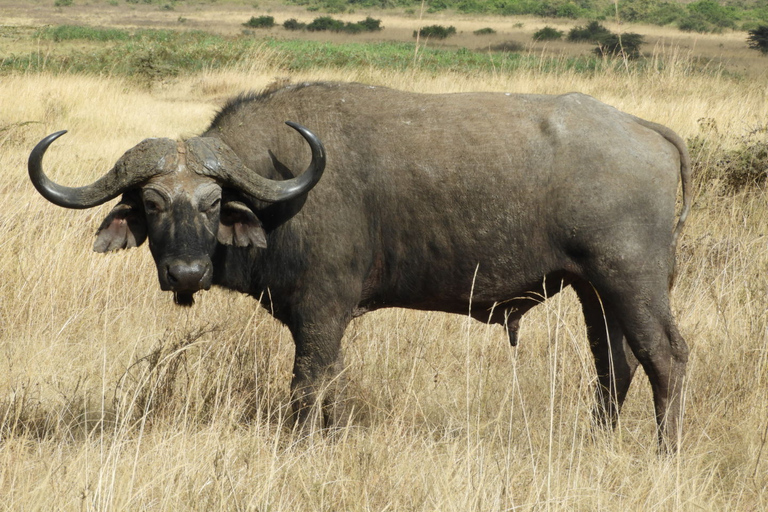 From Nairobi: Hells Gate National Park Day Tour