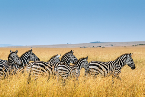 From Nairobi: Hells Gate National Park Day Tour