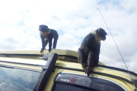 From Nairobi: Hells Gate National Park Day Tour