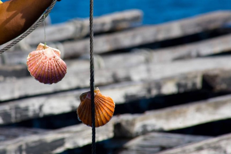 Ría de Arousa: Rejs łodzią do farmy małży z degustacjąRejs łodzią na farmę małży z degustacją