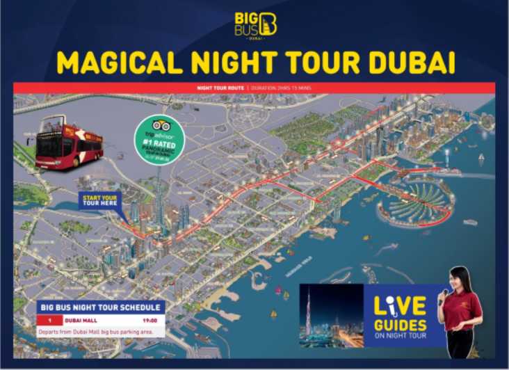 big bus dubai night tour