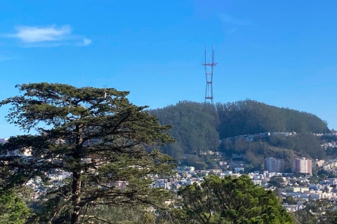 San Francisco: audiotour geheimen van Golden Gate Park