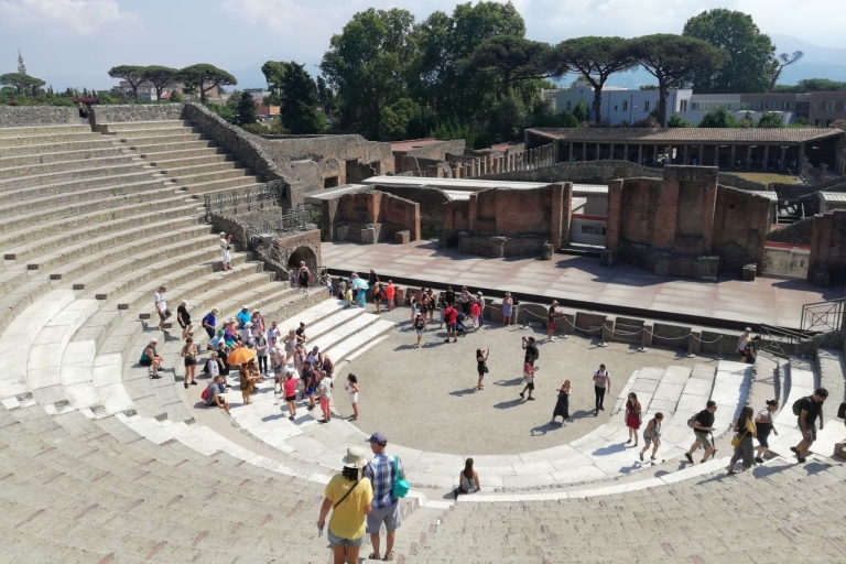 Pompeje: Prywatna wycieczka z lokalnym przewodnikiem Michele Arpa