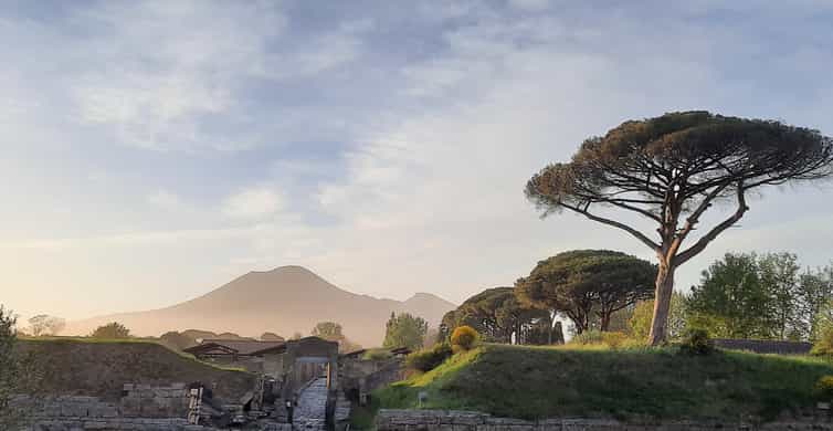 Pompeii Late Afternoon Private Tour - Skip-the-line | GetYourGuide