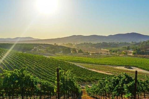 The BEST Temecula Wine Tasting & Winery Tours 2023 - FREE Cancellation ...