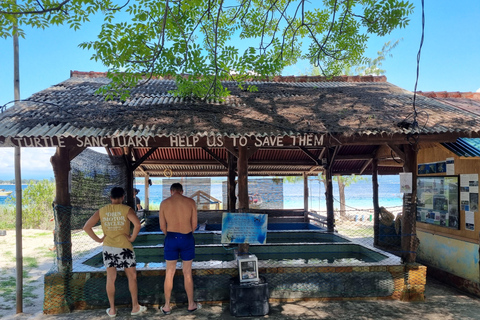 Snorkling på Gili Island: Gili Trawangan, Meno och Air