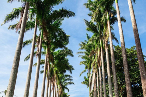 Bentota: Kandy Day Tour with Temple of the tooth & Gardens