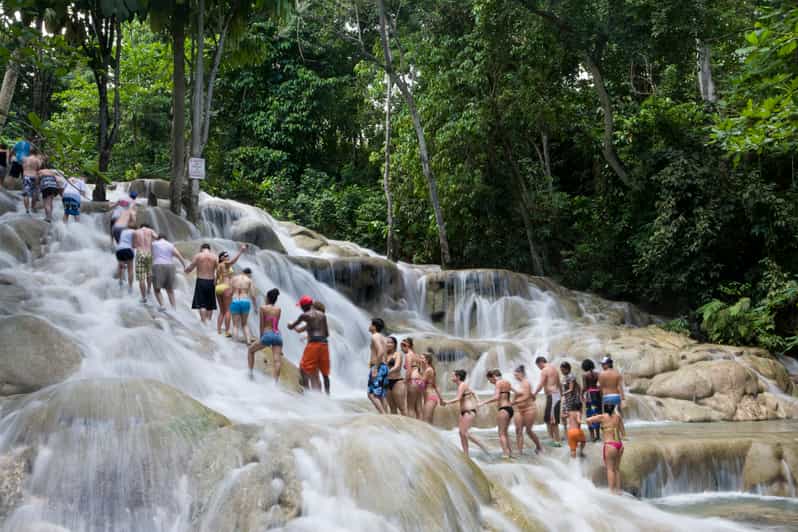 Von Montego Bay aus Erlebnis Dunn's River Falls GetYourGuide