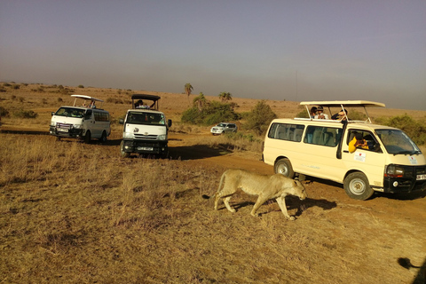 Nairobi: National Park & Elephant Orphanage Guided Day Tour