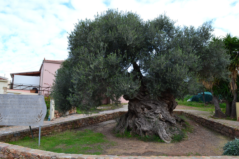 Da Chania: tour condiviso di Elafonisi e Falasarna con spuntiniDa Chania: tour condiviso di Elafonisi-Falasarna di un giorno intero