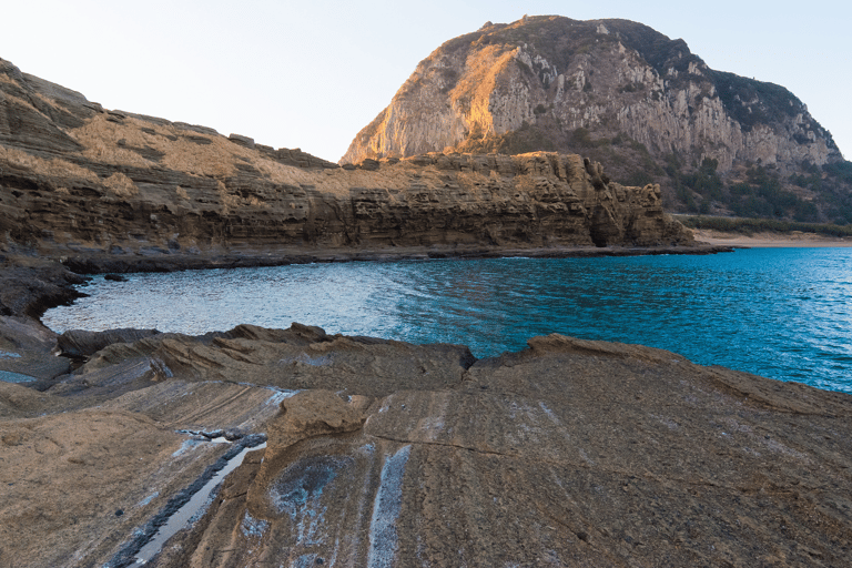 Earlybird Cherry Blossom : Jeju's South & West full day Tour