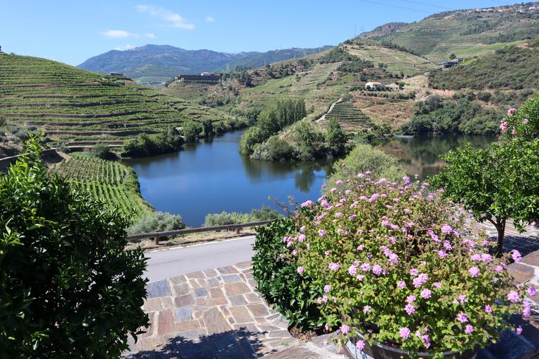 Porto: 2 Douro Valley Wineries Day Trip with River Cruise