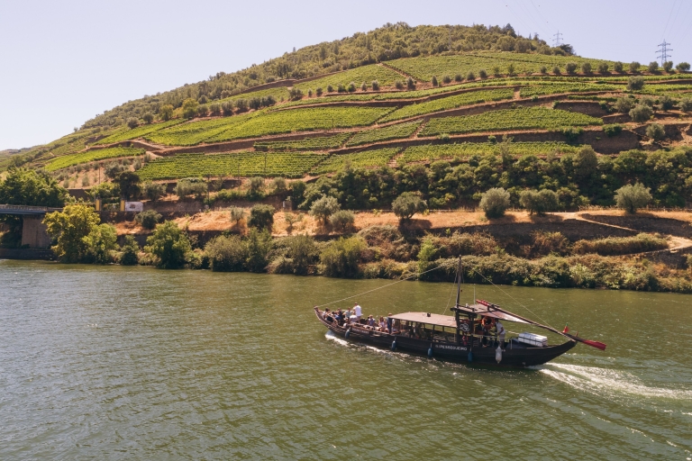 Porto: 2 Douro Valley Wineries Day Trip with River Cruise