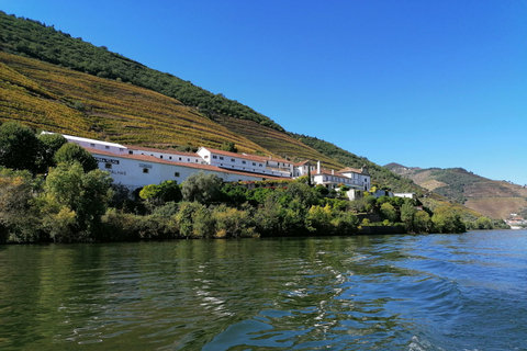 Porto: 2 Douro Valley Wineries Day Trip with River Cruise