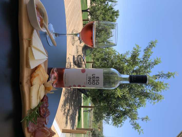 From Albufeira: 4x4 Off-Road Safari & Vineyard Wine Tasting