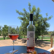 Desde Albufeira: Safari 4x4 en todoterreno y cata de vinos de viñedos