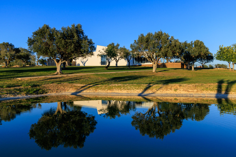 Von Albufeira aus: 4x4 Off-Road-Safari und Weinverkostung im Weinberg