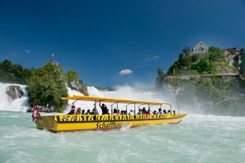 Cataratas del Rin: tour de en autobús desde Zúrich