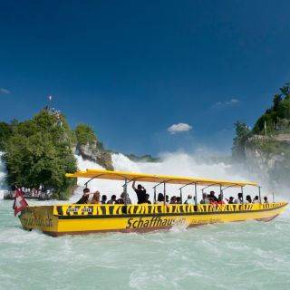 Rhine Falls: Coach Tour from Zurich