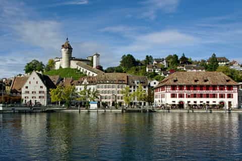 Rhine Falls: Coach Tour from Zurich