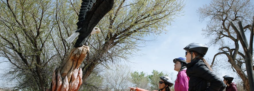The Best Albuquerque Tours And Things To Do In 22 Free Cancellation Getyourguide