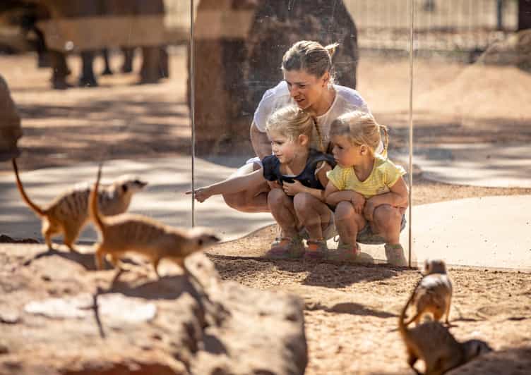 Dubbo Taronga Western Plains Zoo 2Day Entry Ticket GetYourGuide