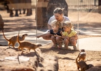 Dubbo, Taronga Western Plains Zoo 2-Tage-Eingangsticket - Housity
