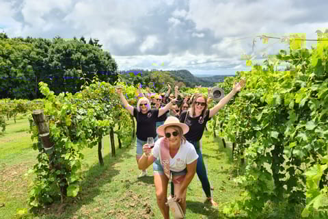 From Montville: Sunshine Coast Hinterland Cheese & Wine Tour