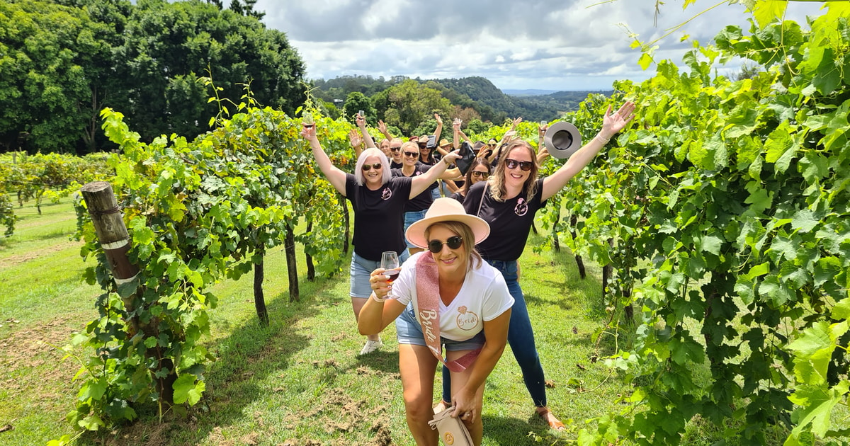 Van Montville Sunshine Coast Hinterland Cheese Wine Tour Getyourguide