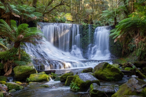 Z Hobart: Park Narodowy Mt.Field i wodospady Russell