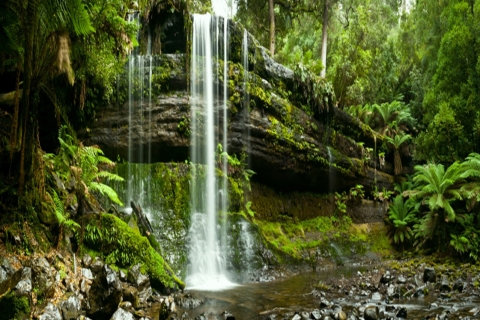 Van Hobart: Mount Field National Park en Russell Falls