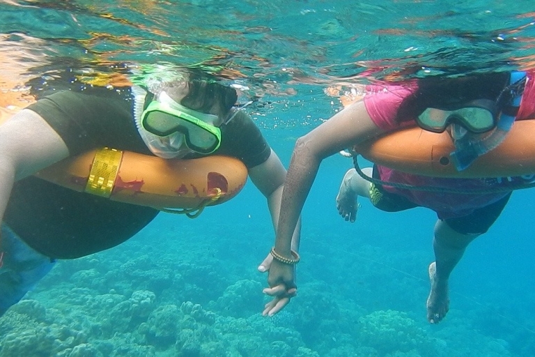 From Miami: Day Trip to Key Largo with Optional Activities Day Trip with Coral Reef Snorkeling Adventure