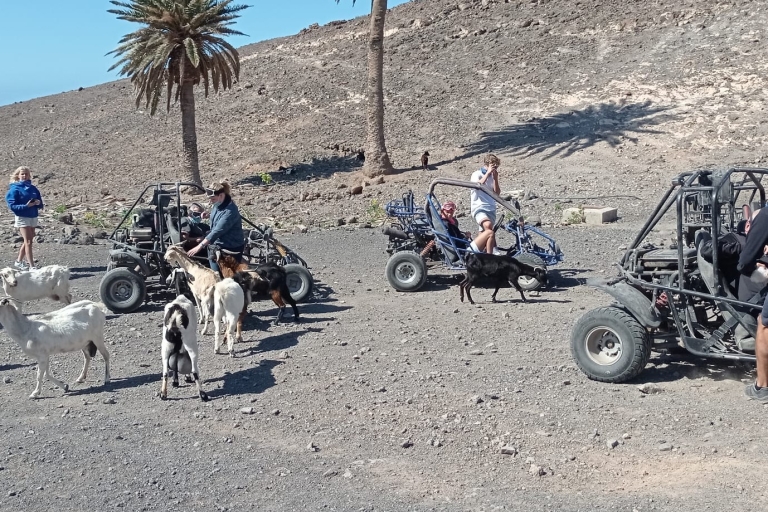 Fuerteventura : parc naturel de Jandía et visite en buggy de Puertito