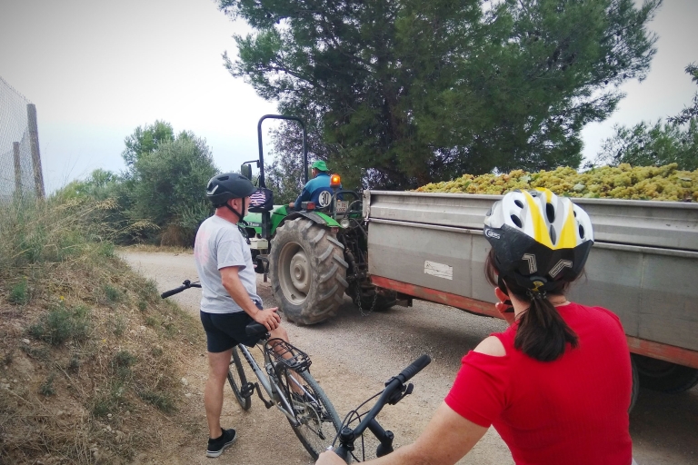 De Sitges: Tour à vélo avec visite de cave et dégustation