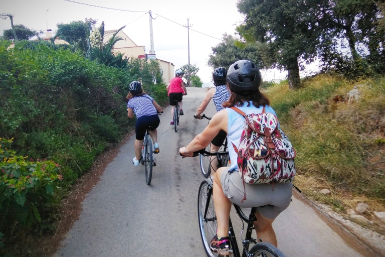 Von Sitges aus: Radtour mit Weinkellerbesuch und Verkostung
