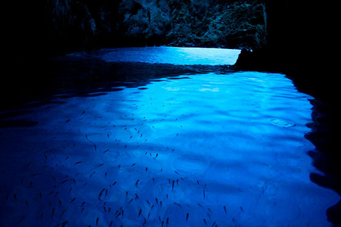 Wycieczka z nurkowaniem na 6 wyspach Blue Cave i Hvar Mamma Mia