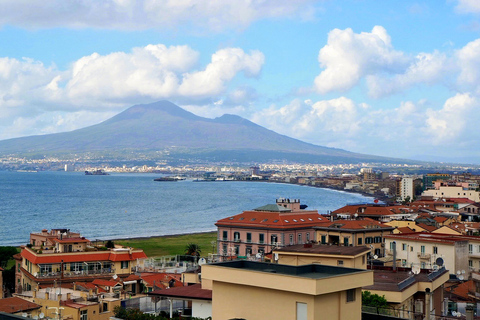 From Naples Port: Private Transfer to Mount Vesuvius