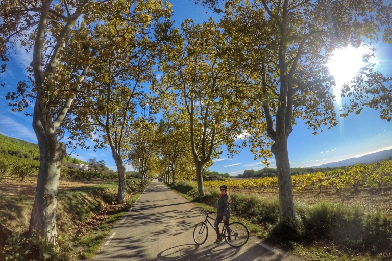 Van Sitges: Paella Masterclass met drankje en fietstocht