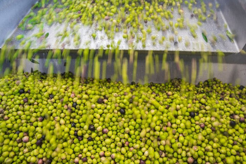 Sacramento: Excursión a la Granja del Valle de Capay con Comida y Vino